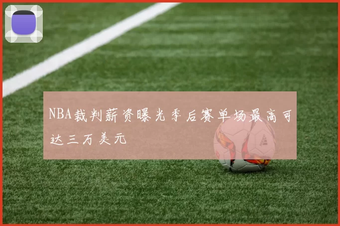 NBA裁判薪资曝光季后赛单场最高可达三万美元