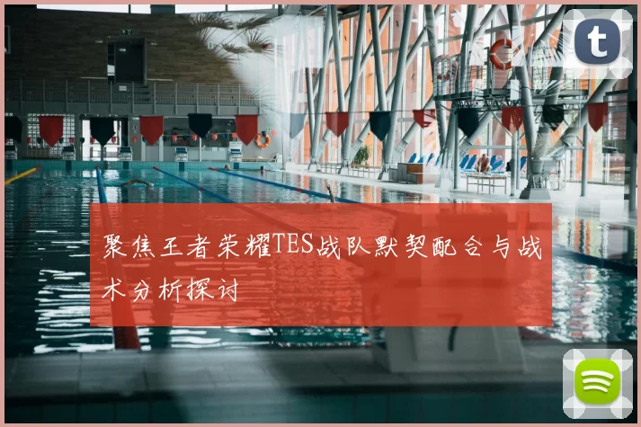 聚焦王者荣耀TES战队默契配合与战术分析探讨