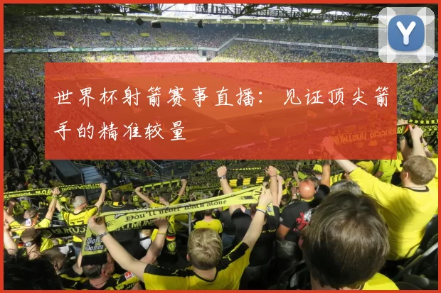 世界杯射箭赛事直播:见证顶尖箭手的精准较量