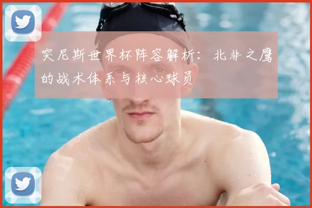 突尼斯世界杯阵容解析：北非之鹰的战术体系与核心球员