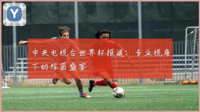 中央电视台世界杯报道：专业视角下的绿茵盛宴