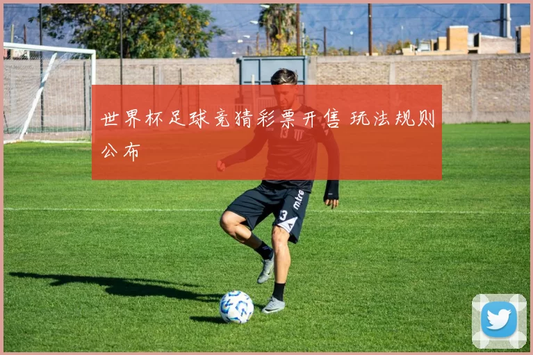 世界杯足球竞猜彩票开售 玩法规则公布