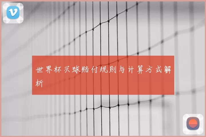 世界杯买球赔付规则与计算方式解析