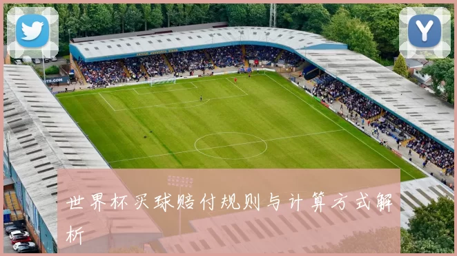 世界杯买球赔付规则与计算方式解析