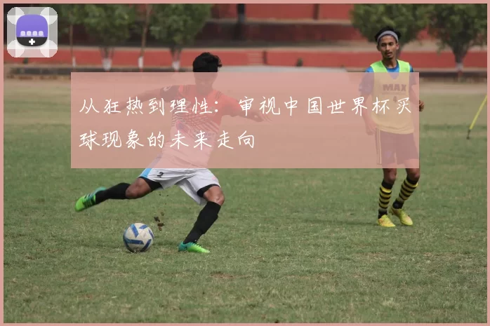 从狂热到理性：审视中国世界杯买球现象的未来走向